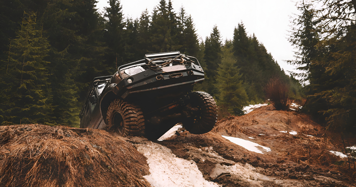 Struts vs Coilovers | Which Suspension Upgrade Is Right for Your Vehicle?