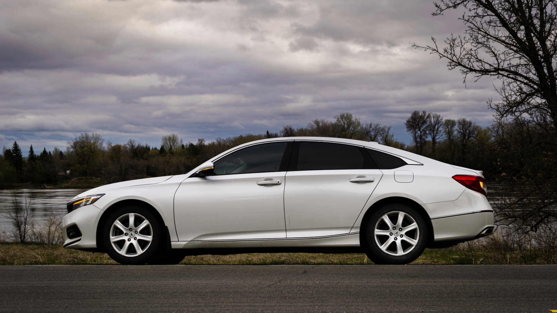 Best Honda Accord Shocks for Daily Driving