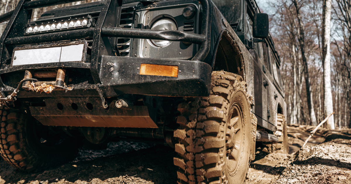 Daily Comfort With Old Man Emu Springs