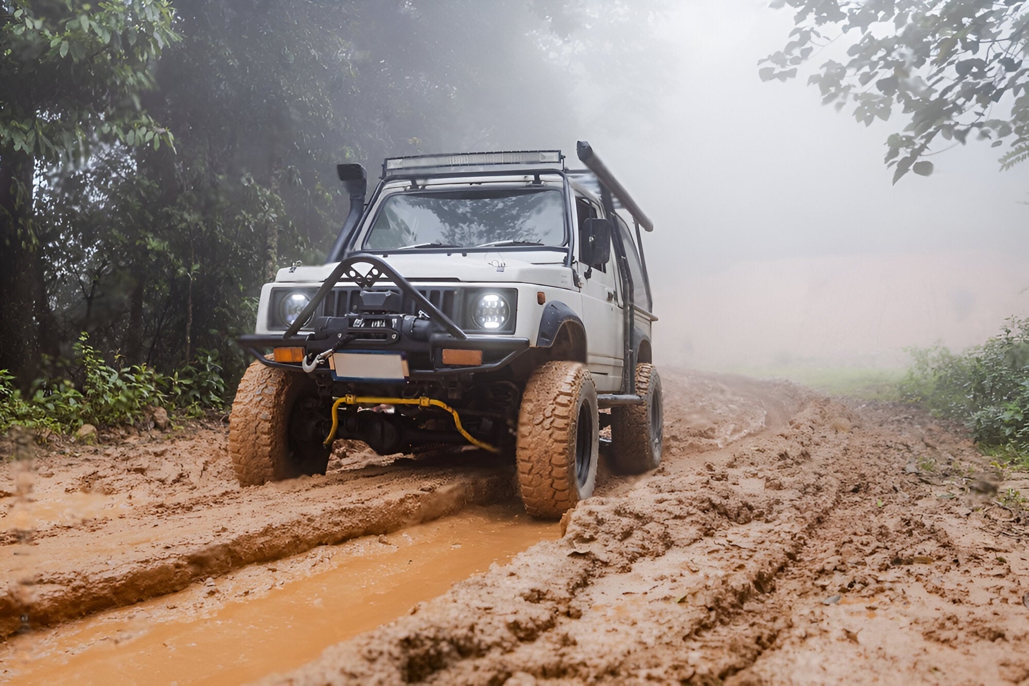 Why Bilstein Suspension Is a Top Choice for Performance and Durability