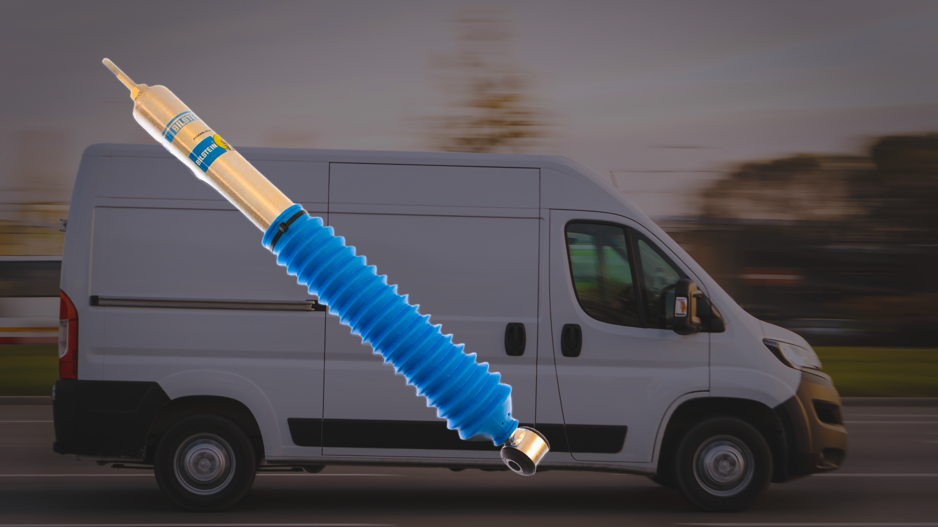 Van Shocks