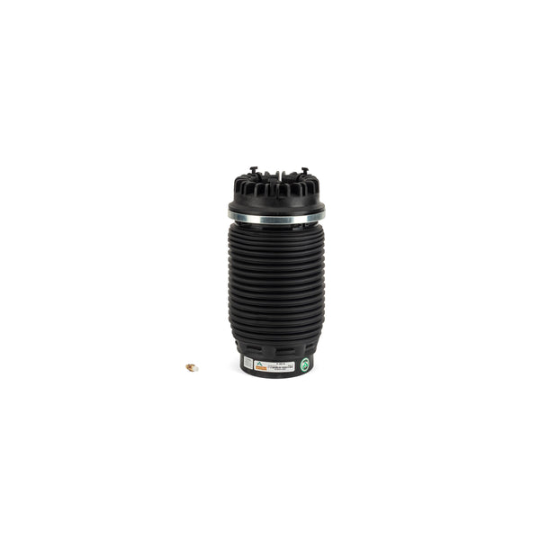 Arnott A-3016 Rear Air Spring RAM 1500 (DS)