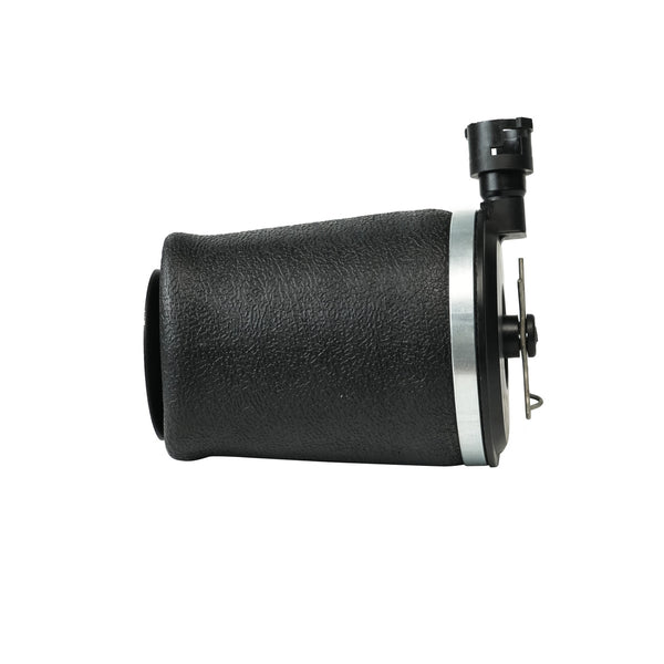 Monroe 40305 Rear OESpectrum Air Spring