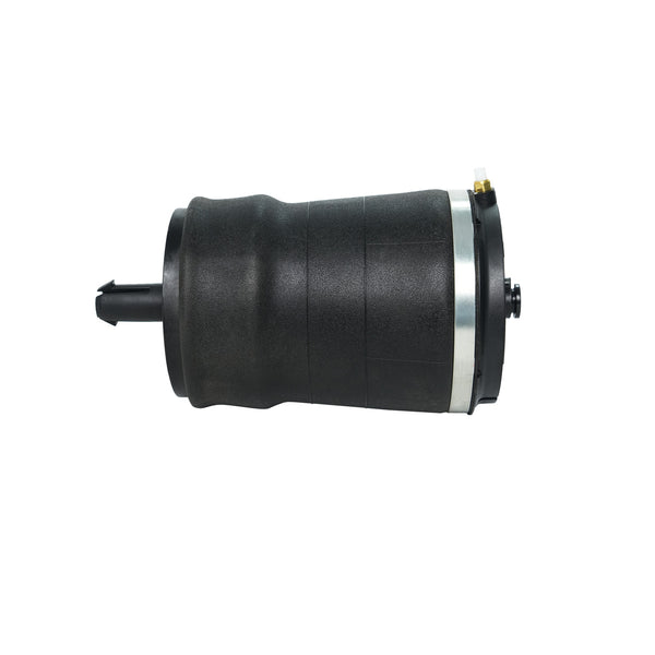Monroe 40339 Rear OESpectrum Air Spring