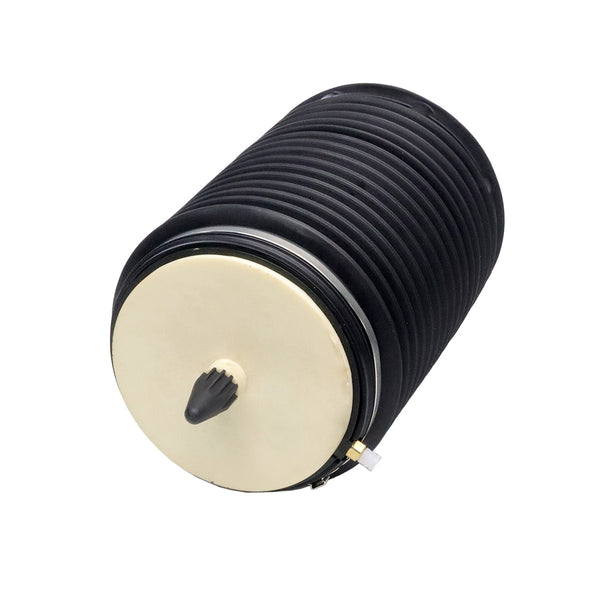 Monroe 40398 Rear Right OESpectrum Air Spring