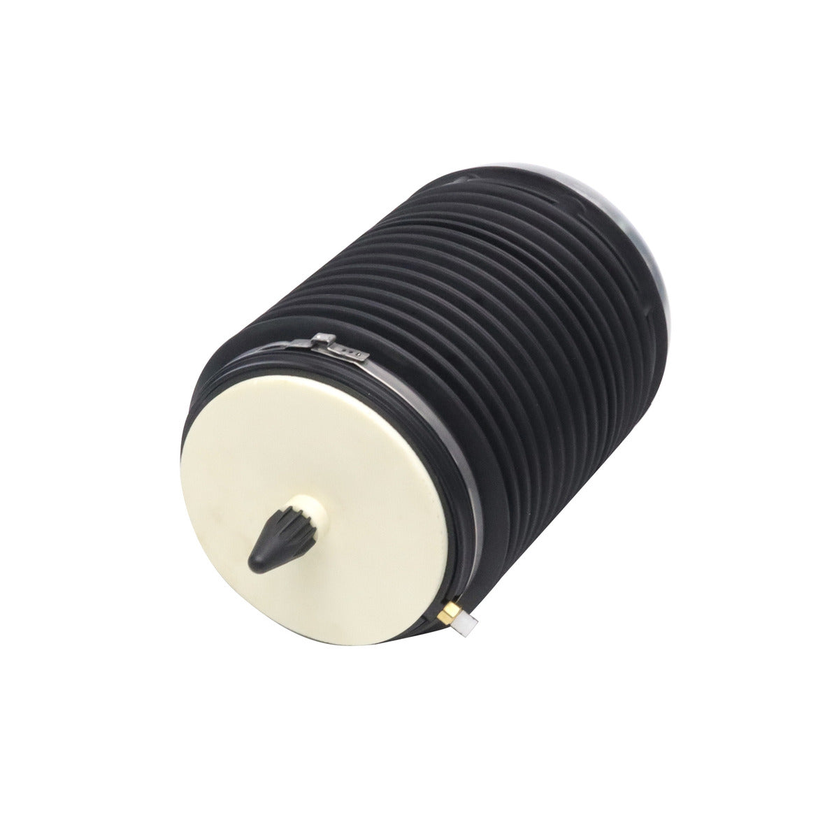 Monroe 40399 Rear Left OESpectrum Air Spring