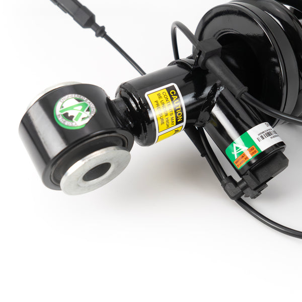 Arnott SK-4209 Rear Left Coil Strut Assembly Lincoln Navigator (U554 Chassis)