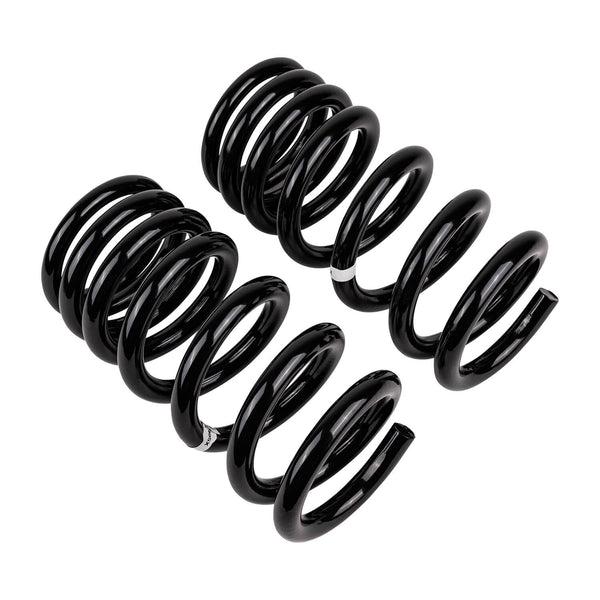 Old Man Emu 2995 Rear Coil Spring Set
