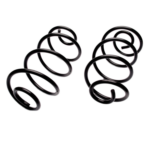 MOOG 6319 Rear Coil Spring Set