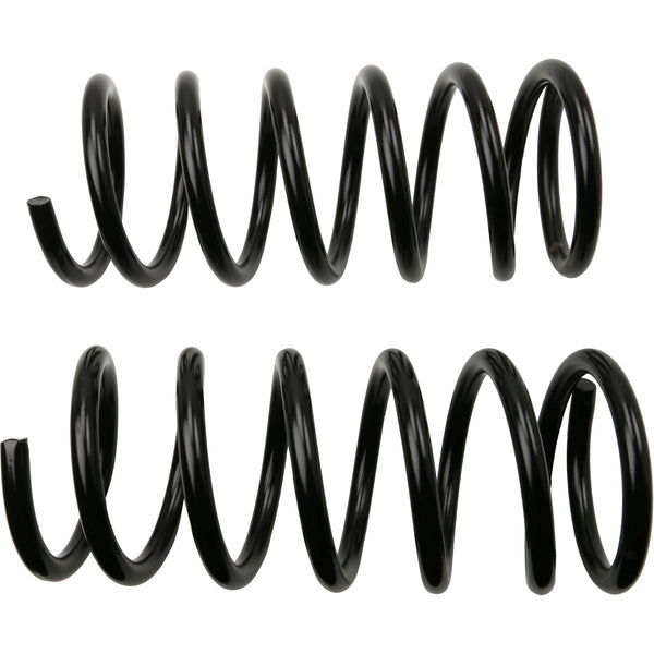 MOOG 81589 Rear Coil Spring Set