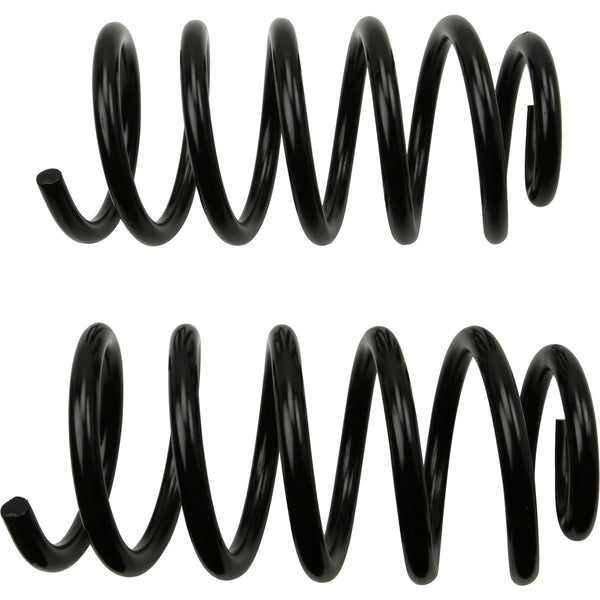 MOOG 81647 Rear Coil Spring Set