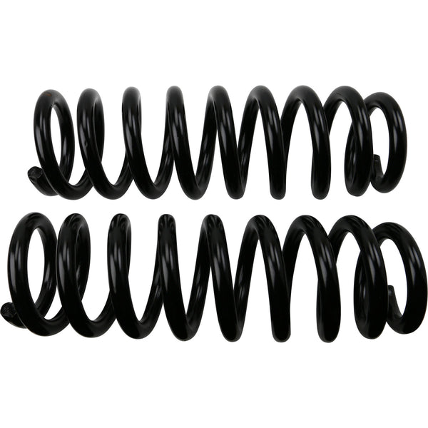 MOOG 81724 Front Coil Spring Set