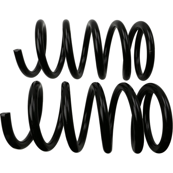 MOOG 81731 Rear Coil Spring Set
