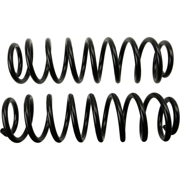 MOOG 81741 Rear Coil Spring Set