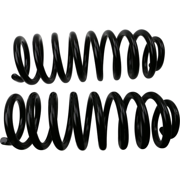 MOOG 81744 Front Coil Spring Set
