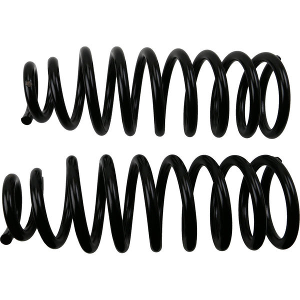 MOOG 81760 Front Coil Spring Set