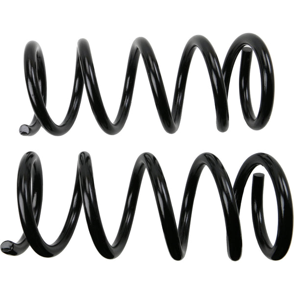 MOOG 81761 Rear Coil Spring Set